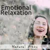Tom Touch & Asian Zen Meditation - Emotional Relaxation: Natural Vibes, Nature Sounds, Serenity Spa, Relaxation Music, Meditation Music, Best Massage Music